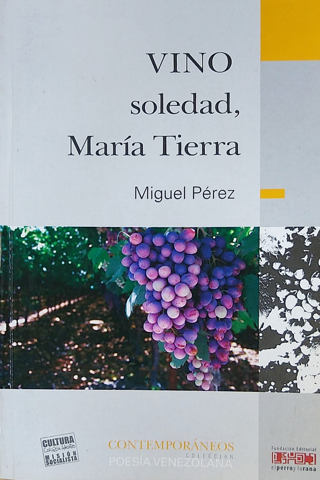 Vino soledad, María Tierra
